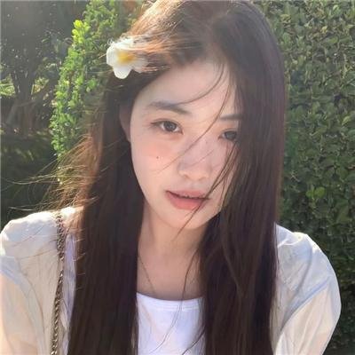 白鹭谣